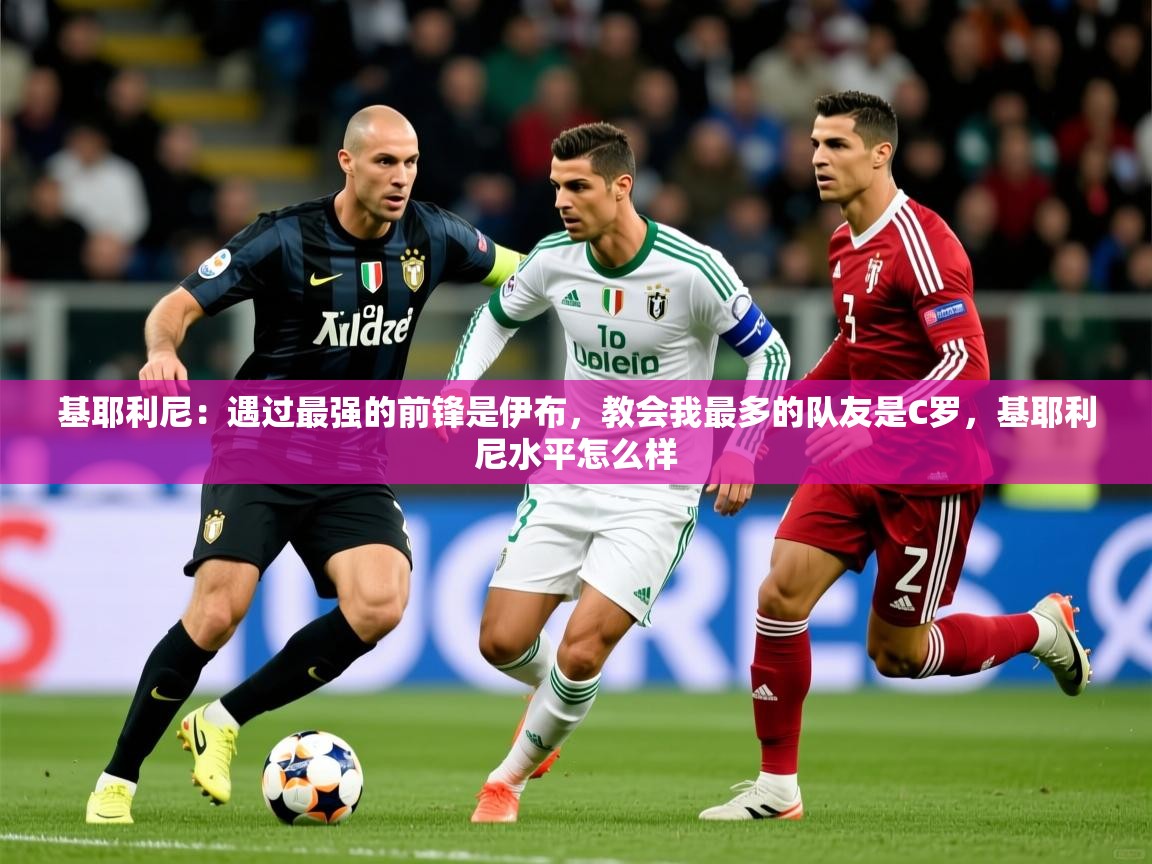 2025九游娱乐官网登录入口基耶利尼：遇过最强的前锋是伊布，教会我最多的队友是C罗，基耶利尼水平怎么样  第3张