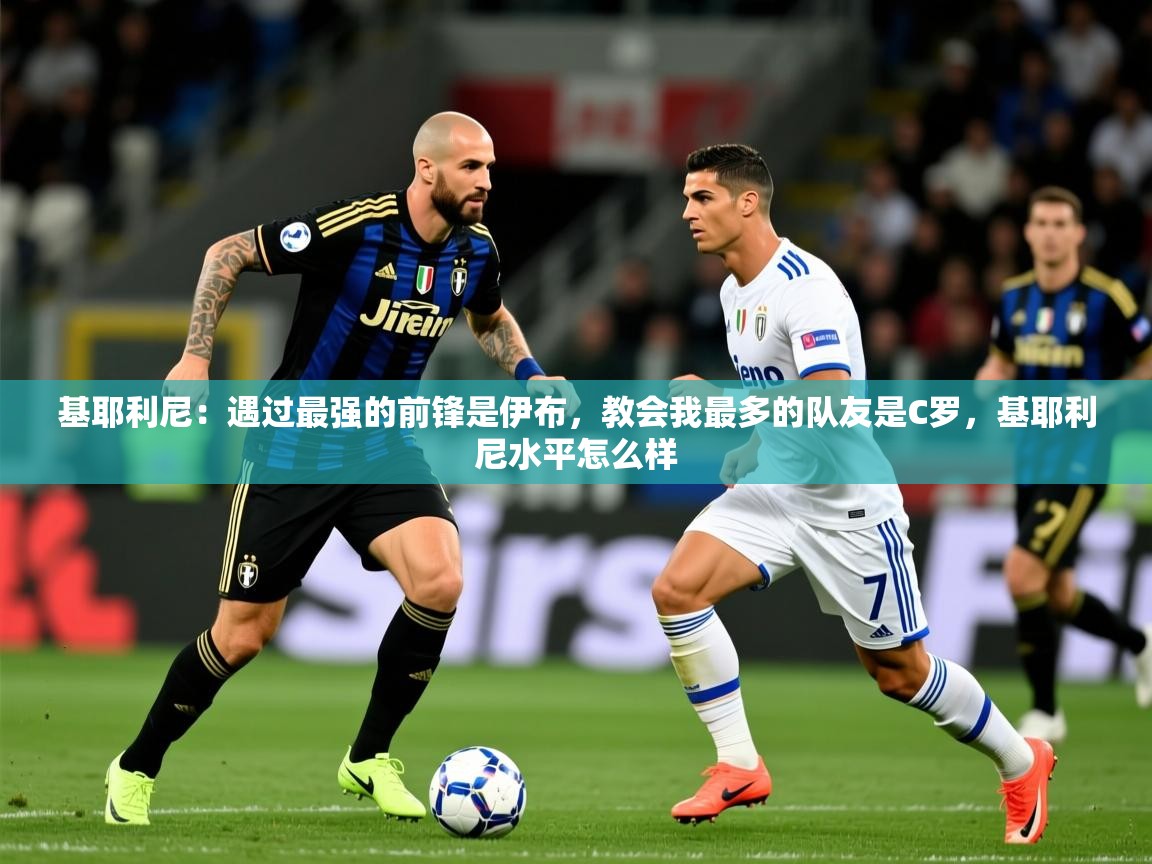 2025九游娱乐官网登录入口基耶利尼：遇过最强的前锋是伊布，教会我最多的队友是C罗，基耶利尼水平怎么样  第4张