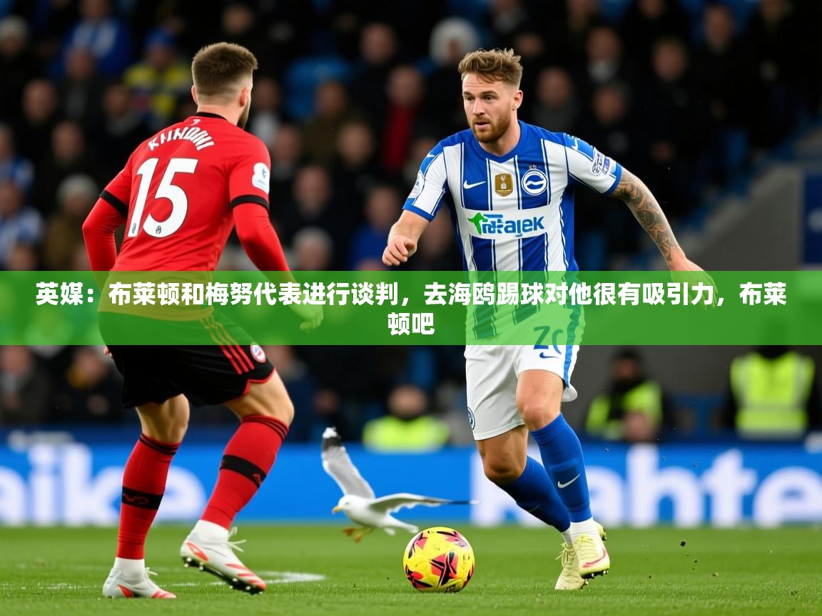 2025九游娱乐靠谱吗英媒：布莱顿和梅努代表进行谈判，去海鸥踢球对他很有吸引力，布莱顿吧  第1张