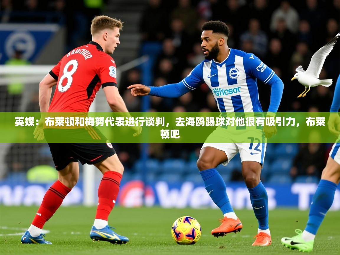 2025九游娱乐靠谱吗英媒：布莱顿和梅努代表进行谈判，去海鸥踢球对他很有吸引力，布莱顿吧  第2张