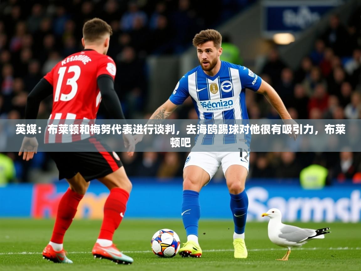 2025九游娱乐靠谱吗英媒：布莱顿和梅努代表进行谈判，去海鸥踢球对他很有吸引力，布莱顿吧  第3张