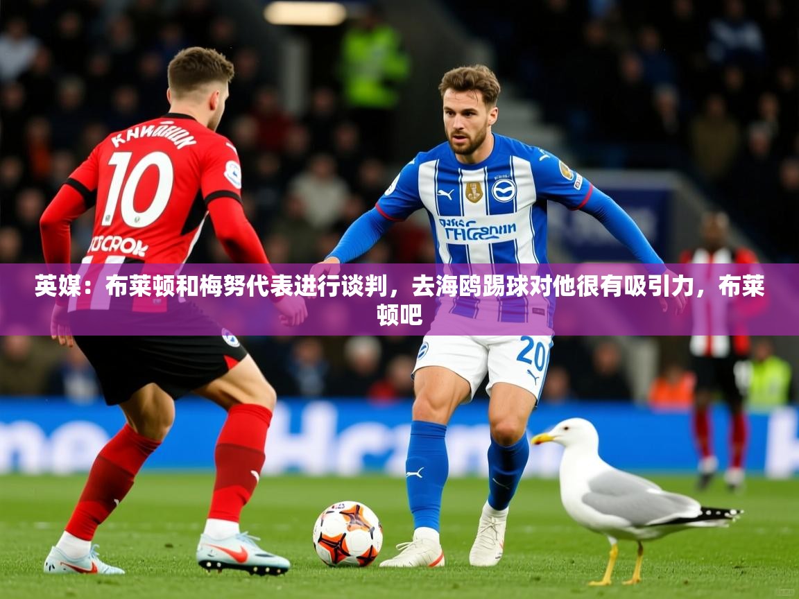 2025九游娱乐靠谱吗英媒：布莱顿和梅努代表进行谈判，去海鸥踢球对他很有吸引力，布莱顿吧  第4张