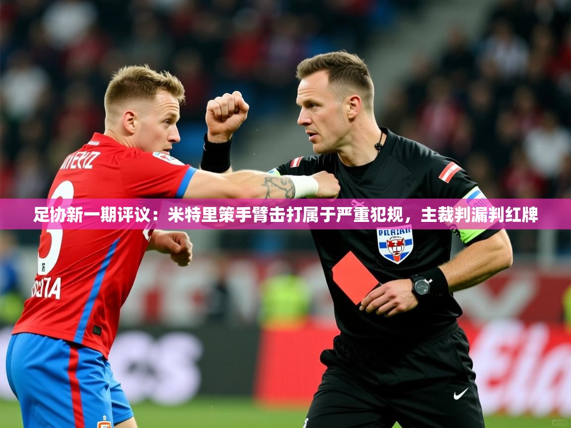 2025九游娱乐app官方入口足协新一期评议:米特里策手臂击打属于严重犯规,主裁判漏判红牌 第1张