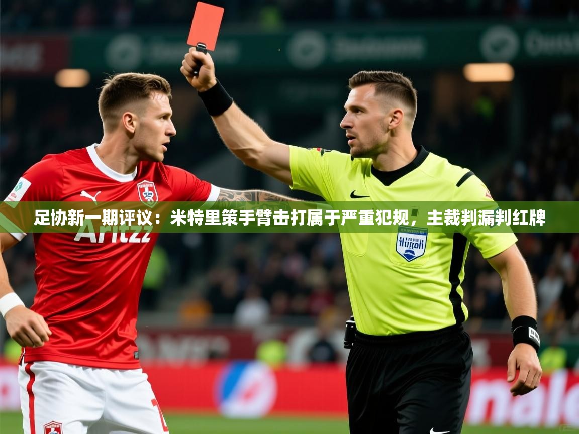 2025九游娱乐app官方入口足协新一期评议:米特里策手臂击打属于严重犯规,主裁判漏判红牌 第2张