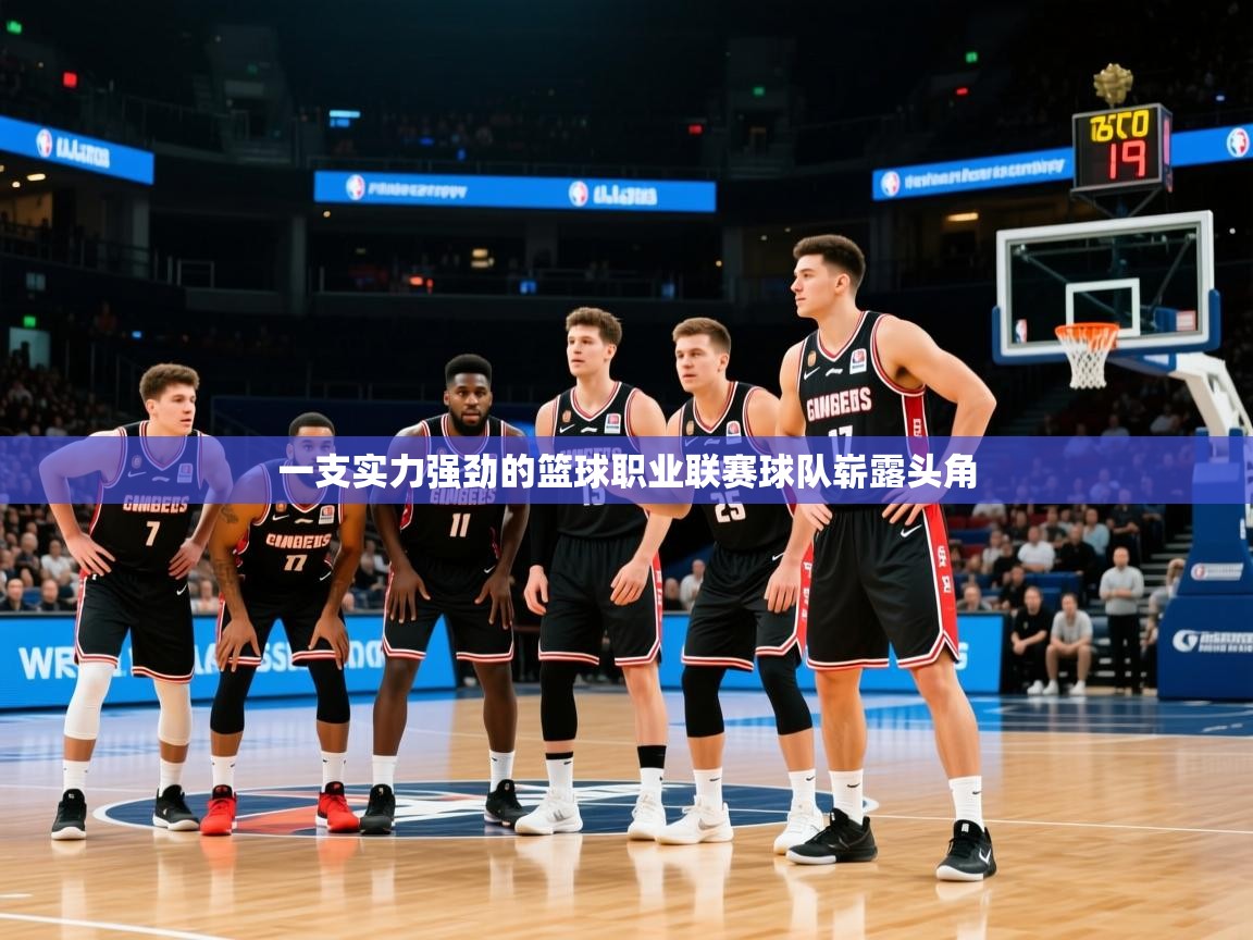 2026九游娱乐官网入口一支实力强劲的篮球职业联赛球队崭露头角  第1张