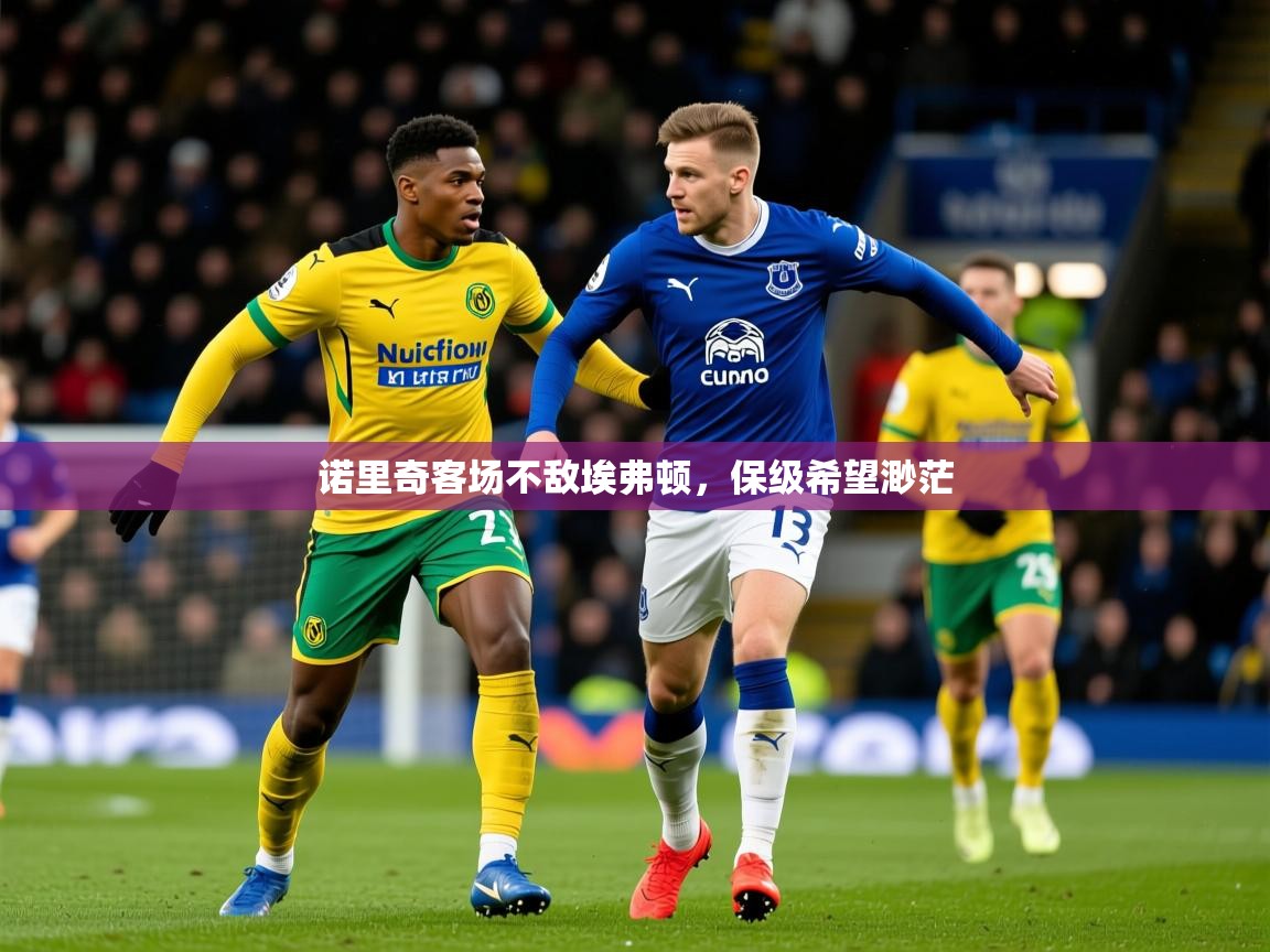 2026九游娱乐网站赞助的不莱梅诺里奇客场不敌埃弗顿，保级希望渺茫