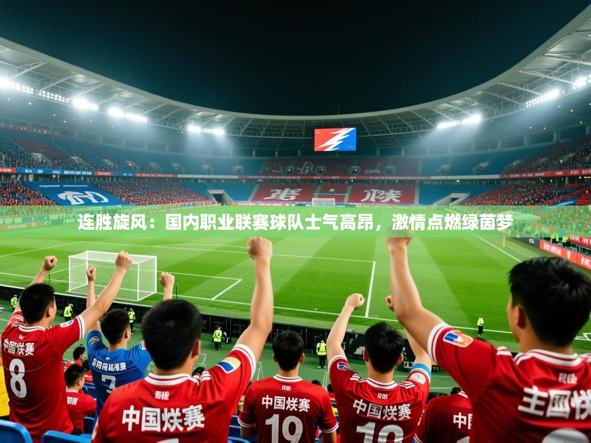 2026九游娱乐体育连胜旋风：国内职业联赛球队士气高昂，激情点燃绿茵梦