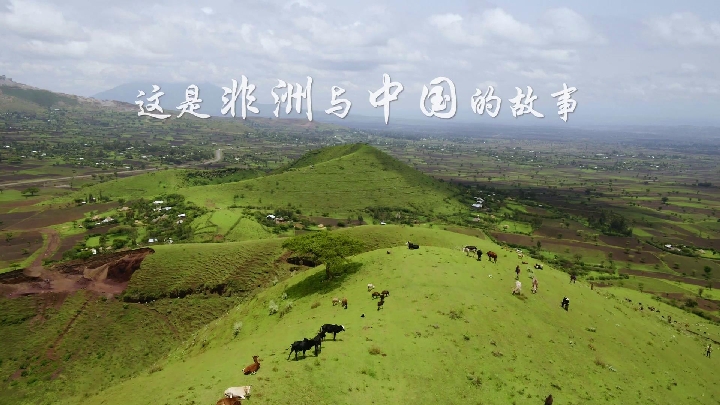 九游娱乐官网服务好-中非选手刷新纪录，赢得掌声