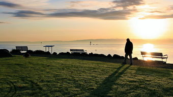 2025九游娱乐app体验棒保罗要求交易?太阳老孤似乎已无法挽救 第1张